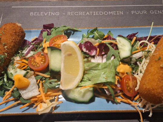 Ark Van Noë-Lichtaart必去景点