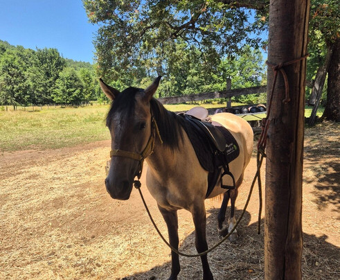 Alma Equina Pucon-普孔必去景点