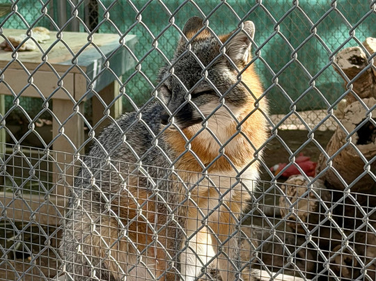 Southwest Wildlife Conservation Center-斯科茨代尔必去景点