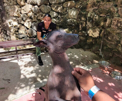 Croco Cun Zoo-从莫雷洛斯港必去景点