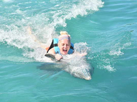 海豚湾-奥乔里奥斯必去景点