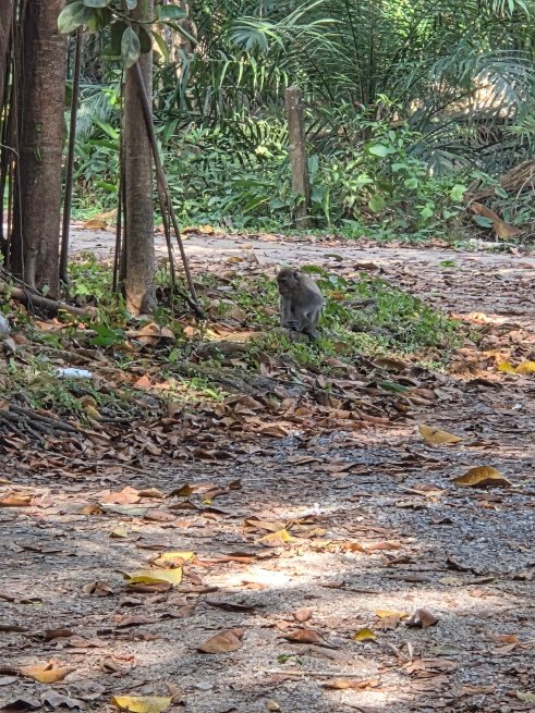 Art's Riverview Lodge-官方