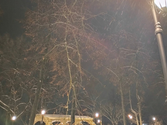 Aleksandrovskiy Park of Culture and Recreation-Aleksandrov必去景点