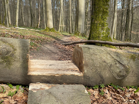 Nationalpark Hainich-Bad Langensalza必去景点
