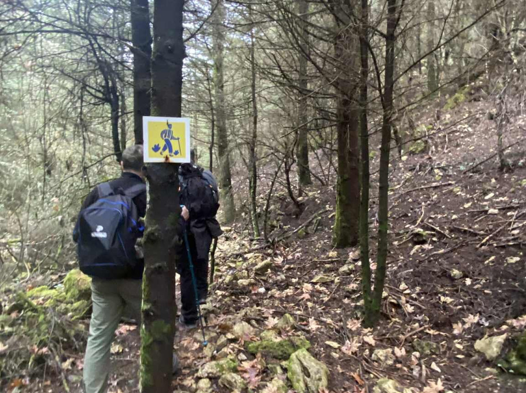 Irene's Healthy Life-Pallini必去景点