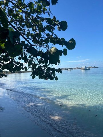 Sunset At The Palms-泳池