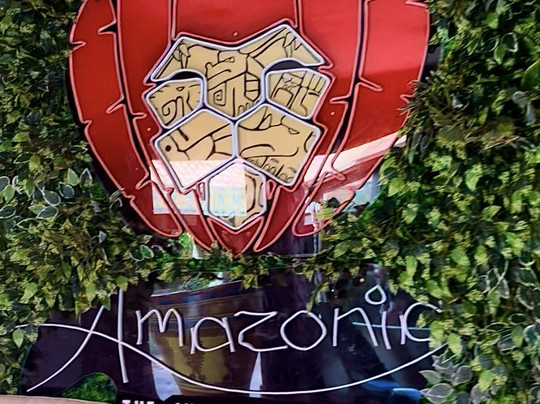 Amazonia: The Jungle Experience Tour-威廉斯塔德必去景点