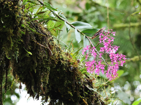Paramo Trek Salento-萨伦托必去景点