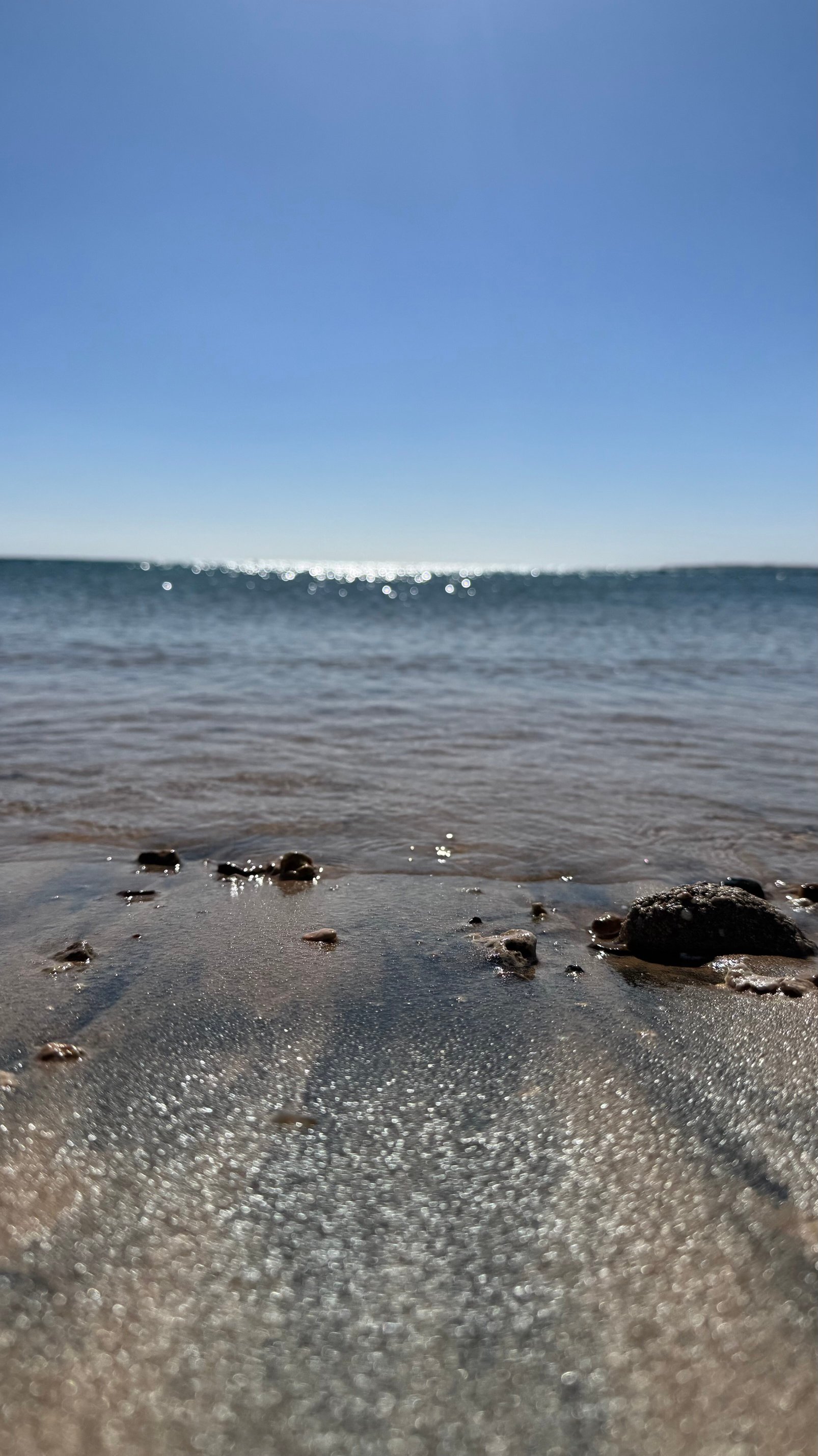 萨尔哈什古宫度假酒店-泳池