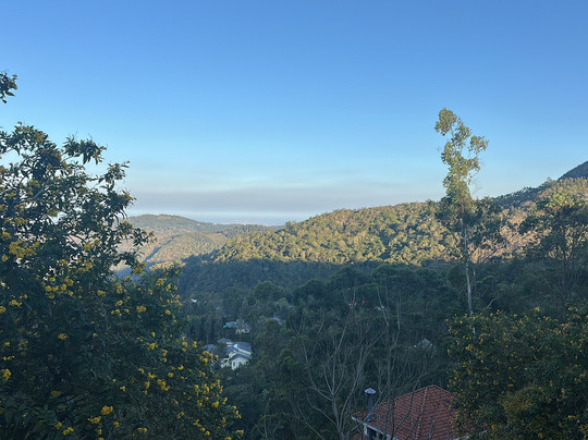 Mango Hill Yercaud主图