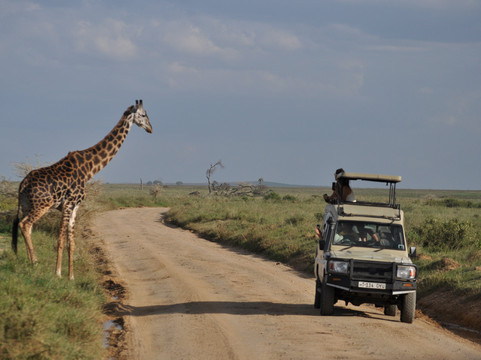Angelino Adventures-莫西必去景点