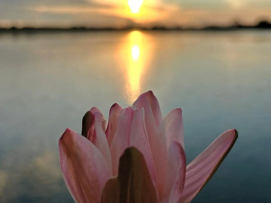 Ciao Bella Holidays-Malabe必去景点