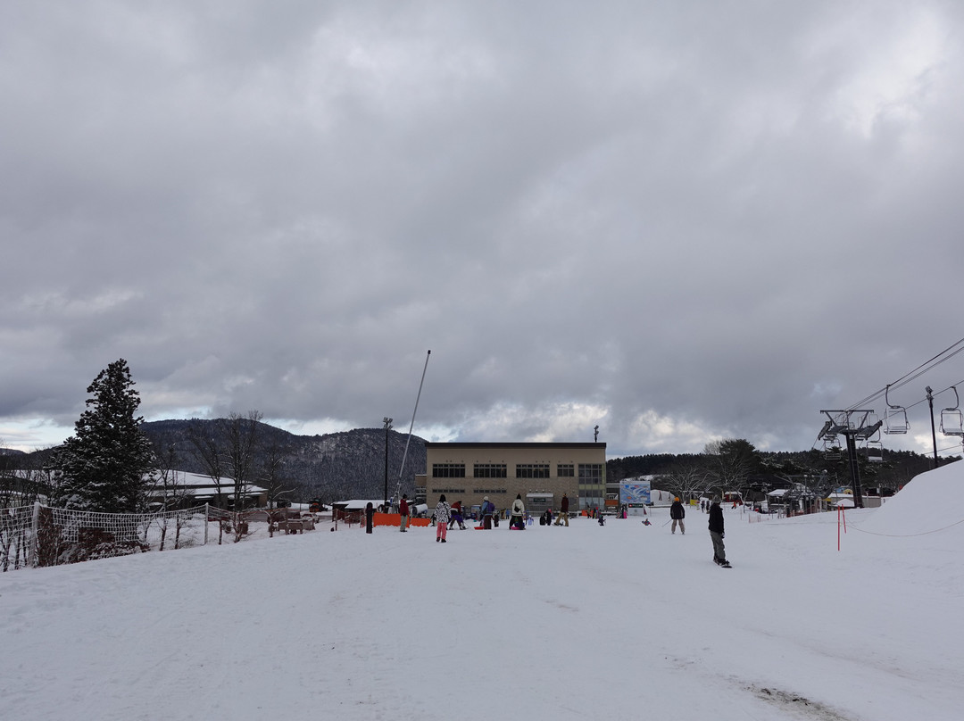 Mineyama Kogen Resort