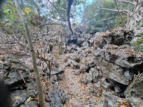 Khao Nang Phanthurat Forest Park-七岩必去景点