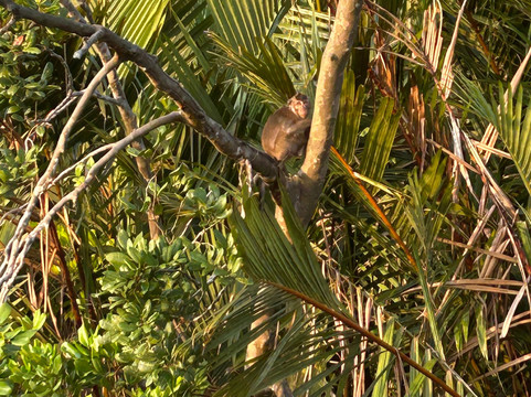Borneo Eco Tours-亚庇必去景点