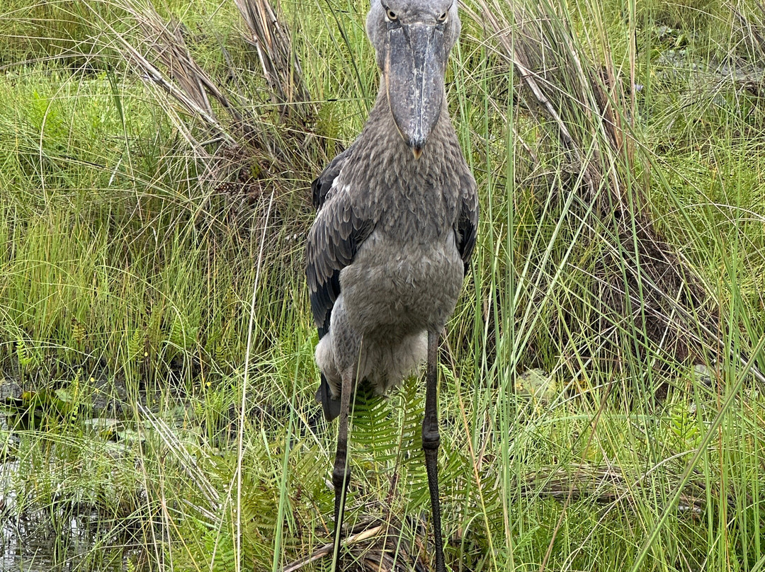 Makasa Tanzania Safaris-莫西必去景点