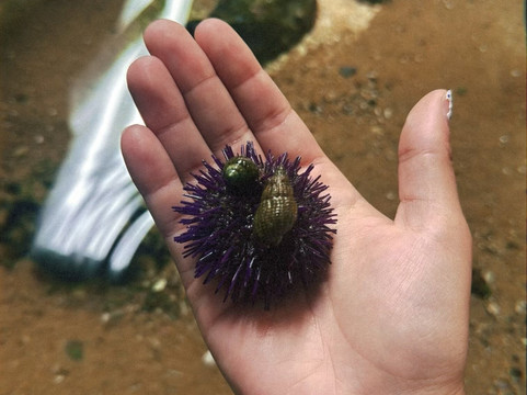 Centro Ciência Viva do Algarve-法罗必去景点