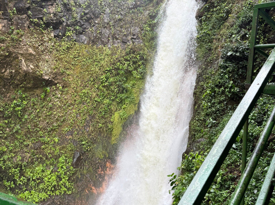 Discover Costa Rica Tours and Transfers-利比里亚必去景点