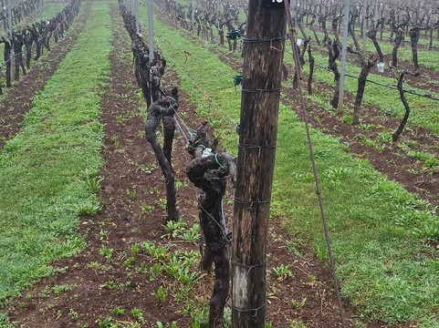 Kekovic Estate-Danilovgrad Municipality必去景点