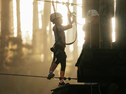 Tree Adventures-伍德山必去景点