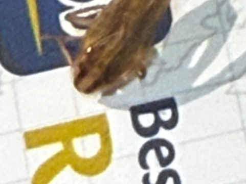 冷水溪贝斯特韦斯特优质酒店主图