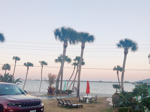 Driftwood Motel主图