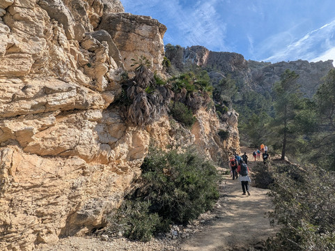 Wander Jürgen Mallorca-帕格拉必去景点