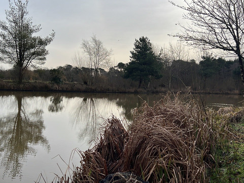 Stafford Moor Fishery-Dolton必去景点