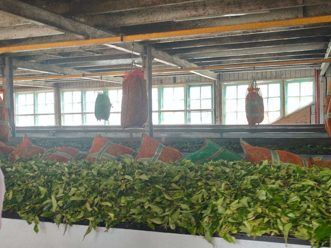 Dmax Tours and Travels-科奇克德必去景点