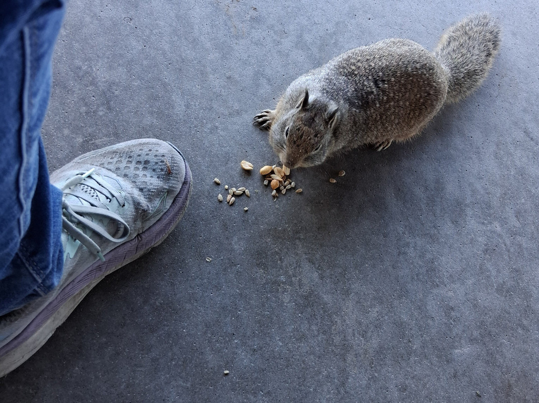 伍德沃德公园-弗雷斯诺必去景点