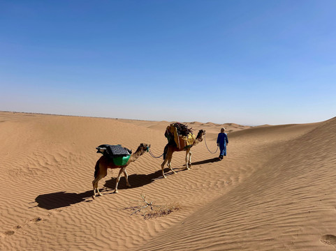 My Sahara Trek-迈哈米德必去景点