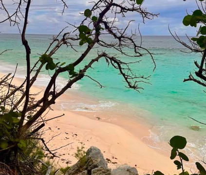 Warwick Long Bay Beach-Warwick Parish必去景点