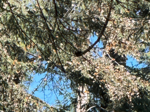 Piedra Herrada Sanctuary-巴耶－德布拉沃必去景点