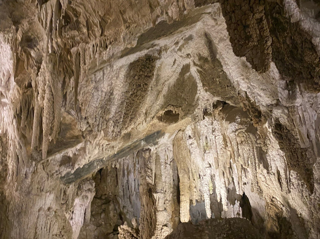 Ngarua Caves-莫图伊卡必去景点
