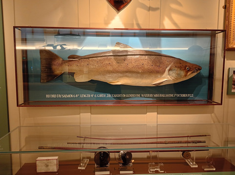 Perth Museum-珀斯必去景点