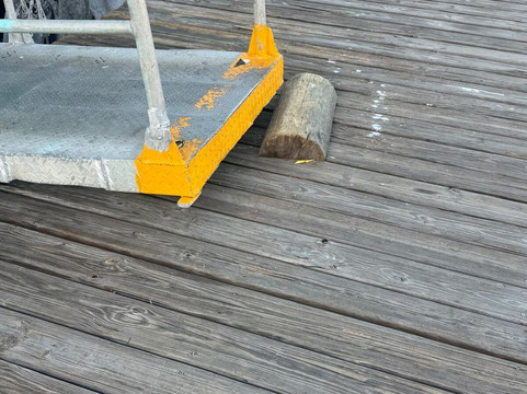 海豚发现秀-女人岛必去景点