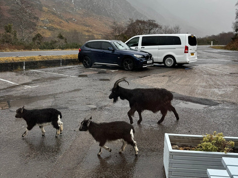 Chocolates of Glenshiel-Shiel Bridge必去景点