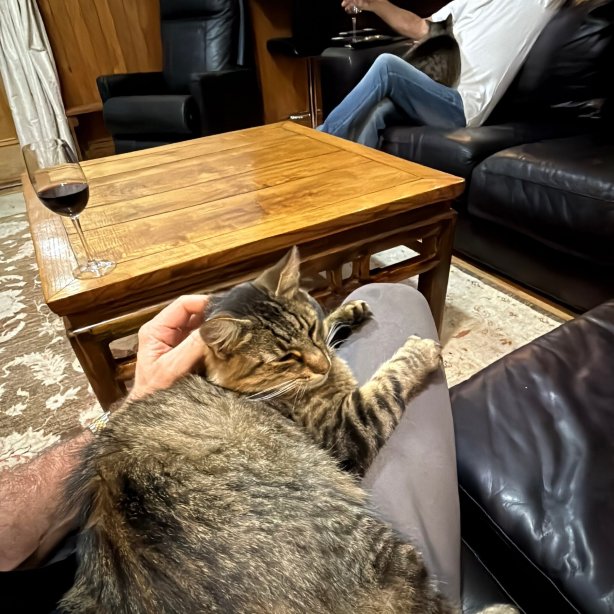 Old Glenmark Vicarage-官方