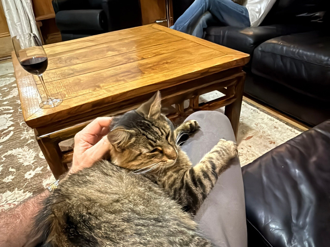 Old Glenmark Vicarage主图