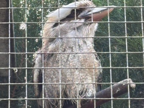 Texel Zoo-特塞尔必去景点