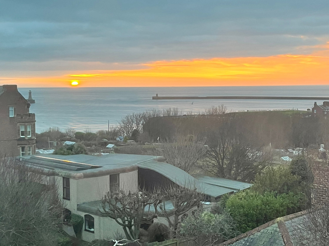 Tynemouth 61 Guest House and Tea Rooms主图