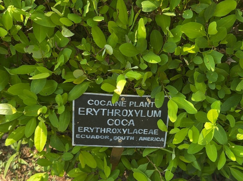 Rangi Tours-瓦都瓦必去景点