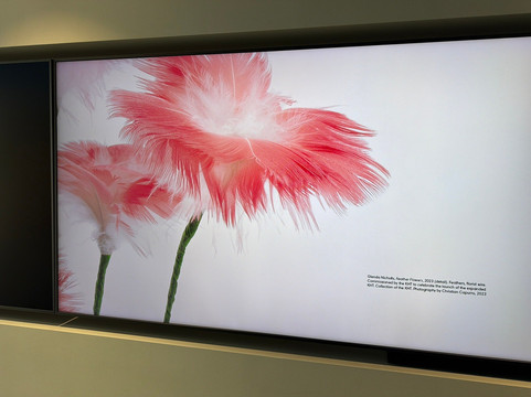 Koorie Heritage Trust-墨尔本必去景点