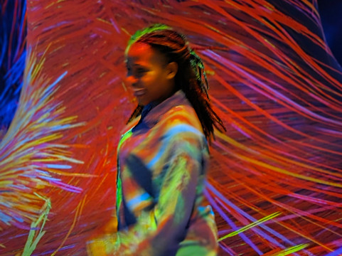 teamLab Phenomena Abu Dhabi-阿布扎比必去景点