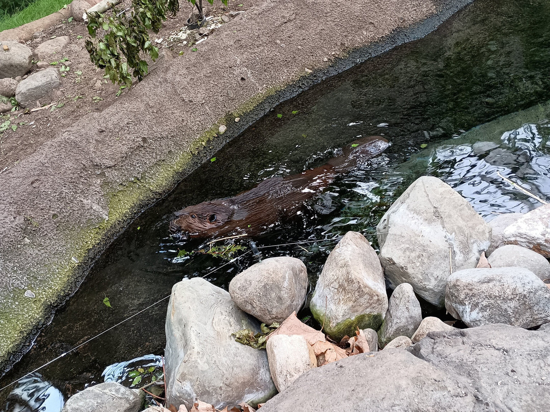 蒙特利尔自然生态博物馆-蒙特利尔必去景点
