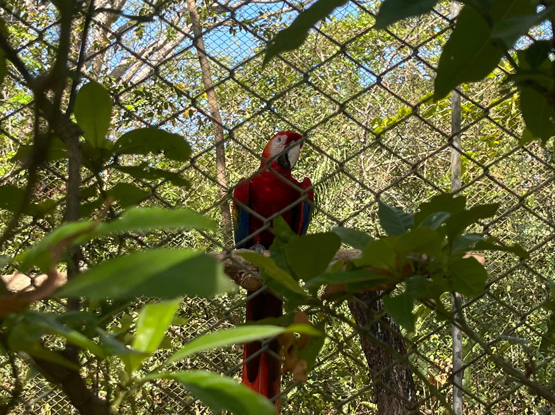 Natuwa Wildlife Santuary-彭塔雷纳斯必去景点
