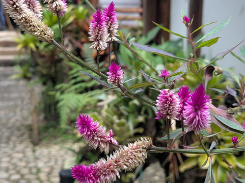 Esmeralda Ecotours San Rafael-San Rafael必去景点