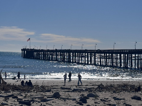Ventura Botanical Gardens-文图拉县必去景点