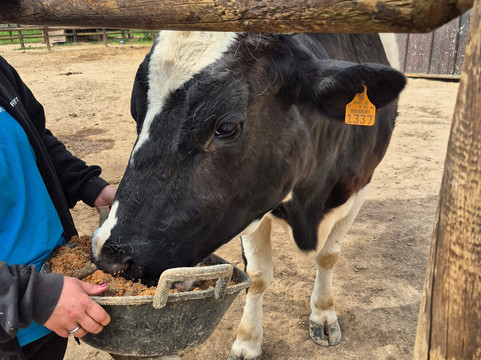 Quinta Fotoplanet Farm-阿尔布赞拉必去景点
