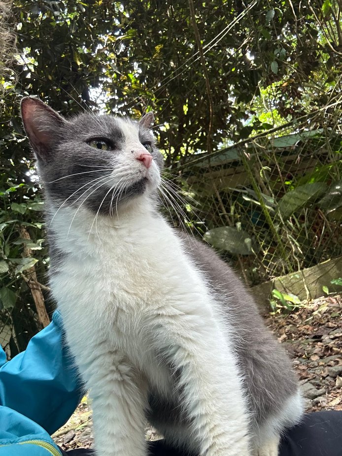 爱的国度度假酒店-官方